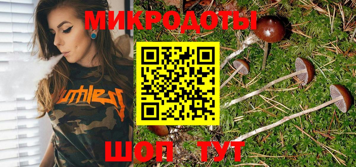 Псилоцибиновые грибы Cubensis  Галлюциногенные грибы прущие грибы  Истра  Вход с VPN 